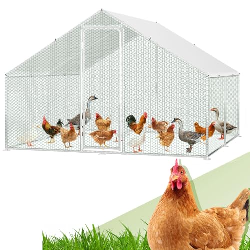 Randaco Poulailler Volière d'extérieur - Grand format XXL - 3 x 3 x 2 m - En acier galvanisé - Enclos pour petits animaux - Avec serrure de sécurité et bâche PE étanche - Cadre en acier robuste