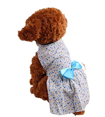 Maiitmor Ȑ  ybg 킢 s[XhX IV XJ[g ^p Lp tăhbOEFA U o|p[eB[EFfBOʋCĂh (XL, )