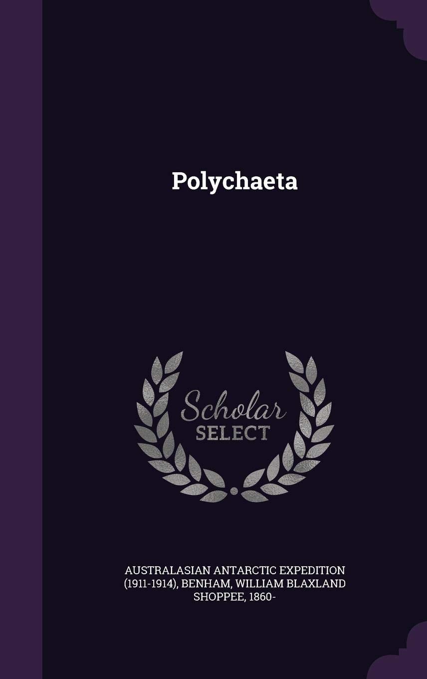 Polychaeta