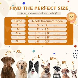 IEUUMLER Inflatable Recovery Dog Collar, Protective Donut Cone, Adjustable Soft Collar for Dog and Cat After Surgery Prevent from Biting & Scratching EU002 - Brown Lion XL IEUUMLER Inflatable Recovery Dog Collar Protective Donut Cone Adjustable Soft Collar for Dog and Cat After Surgery Prevent from Biting Scratching EU002 Brown Lion XL