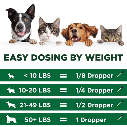 Natural Hemp Oil for Dogs and Cats by NEW AGE - Dog Calming Aid - Supports Hip and Joint Health, Mobility, Immunity - Pet Hemp Oil Rich in Omega 3, 6, 9 – 2 Pack - Image 6