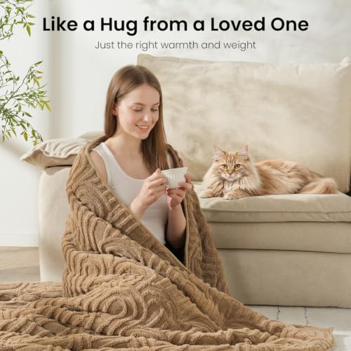 Image of Drewin Weighted Blanket for Adults Queen Size 15lbs, Soft Cozy Turtleback Sherpa Weighted Blankets for Sleeping and Calming, Thick Bed Blanket for Couch Bed, 60 x 80 inches, Brown