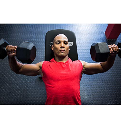 Adjustable / Foldable Weight Bench for Weightlifting and gym strength training equipment at home, Incline and Decline Workout Bench Press folds for Space Saving - No Assembly needed