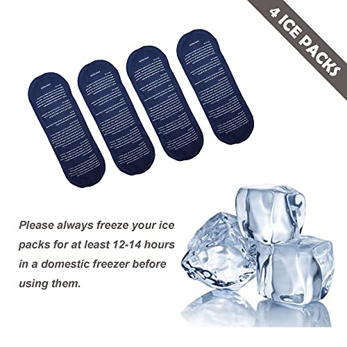 Image of apollo walker Insulin Cooler Travel Case with Ice Packs and Insulation | TSA Approved Includes 2 x 90g ice packs for 9-hour cooling insulin pens & syringes for Diabetics to Carry (Gray)