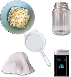Kefir de Leite Vivo – Kit Artesanal com Frasco 500ml, Peneira, Tampa Respirável e Manual