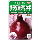 サカタのタネ サラダ赤タマネギ ルビールージュ