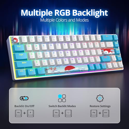 Image of 65 Percent Mechanical Gaming Keyboard 65% Portable Keyboard 68 Keys Compact Wired RGB Backlit Red Switch for PC Laptop Gamer(68 Sea)