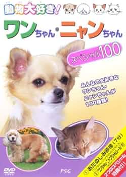 わんちゃん大好きニャンコちゃん 510tulvJpTL._AC_UF350,