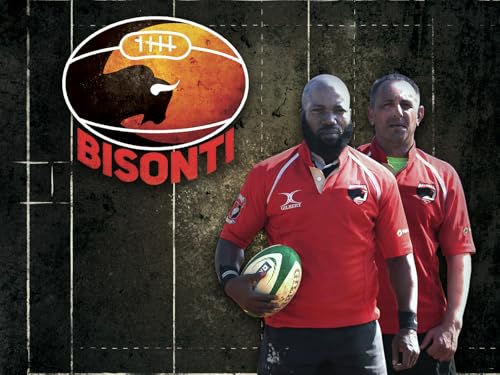  Bisonti