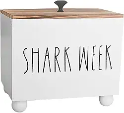 Suporte para absorvente interno e caixa de armazenamento para absorventes internos para Organizador de produtos femininos Organizador de