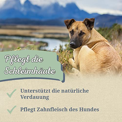 Krauterie Salbeiblätter Hund, Einzelfuttermittel für Hunde (100 g), Salbeiblätter Geschnitten in Spitzenqualität