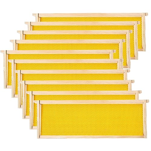 POLLIBEE Medium or Super Bee Hive Frames and Wax Foundations 10 Pack Honey Bee Frames with Beeswax Coated Food Grade Foundation Sheets Beekeeping Supplies 6-1/4-Inch (Yellow)