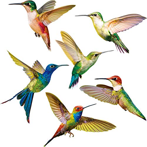 6 Piezas Colibríes Se Aferra a Ventana Adhesivos de Ventana