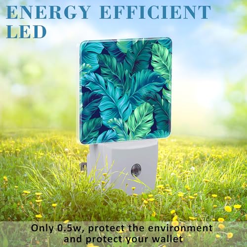 Image of Night Light Plug into Wall Turquoise and Green Tropical Leaves Night Light with Dusk to Dawn Sensor Night Light for Kid Girls Boys Women Room Decor,Hallway,Kitchen,Bathroom,Nursery,Stairs