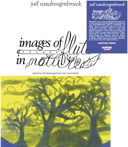 Flûte en milieu naturel : clichés artistiques haute définition