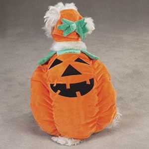   Zack-Zoey-Pumpkin-Pooch-Dog-Costume-X-Large-Orange