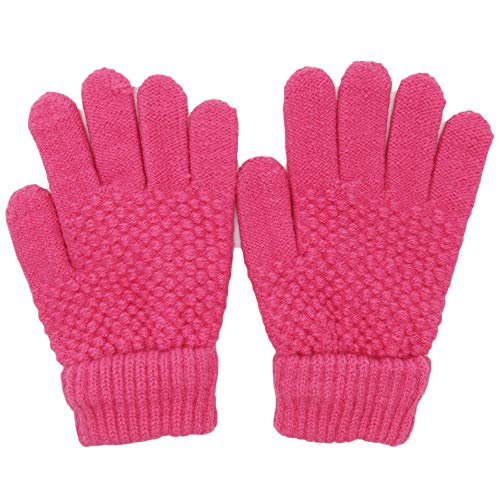 [p_t@~[]  LbY X|[c jbg ̂т̂ 3-6 c j̎q ̎q ʉ ʊw ] 5{w N n zbgsN