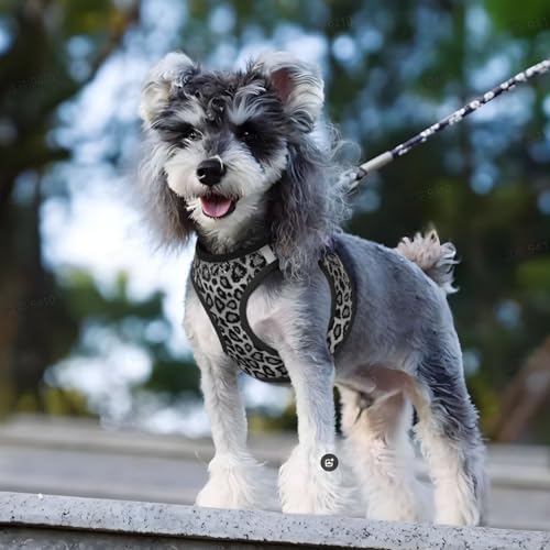 Hundegeschirr und Leine mit grauem Leopardenmuster und Glitzer, zugfrei, reflektierend, verstellbar, weich gepolstert, mit Sicherheitsschnalle für kleine und mittelgroße Hunde und Katzen. – Bild 7