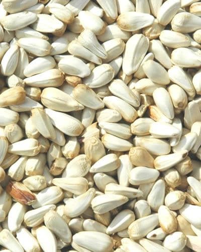 Ariya Safflower Seeds/Kusum Beej Seeds/Kardi Seeds for Adult Birds (1 Kg) (B0D3X23LS9) Amazon Price History, Amazon Price Tracker