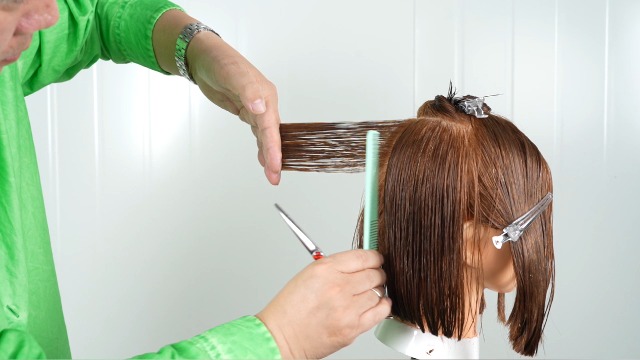 Amazon.com : Professional Hair Scissors/Shears 5.5