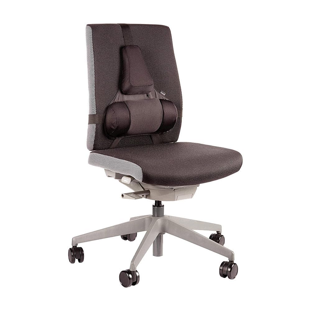 Fellowes 8041801 Supporto schiena con cuscino lombare in memory foam Professional Series Ultimate, Grigio