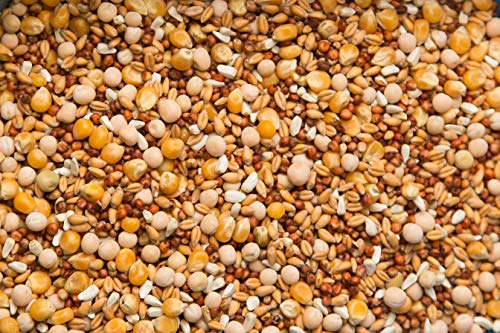 Purgrain Penny-Wise Popcorn–50 lb bag