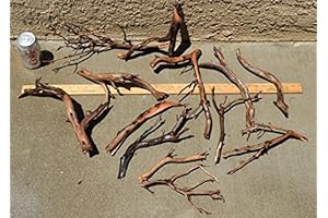 Manzanita Driftwood Nano Group