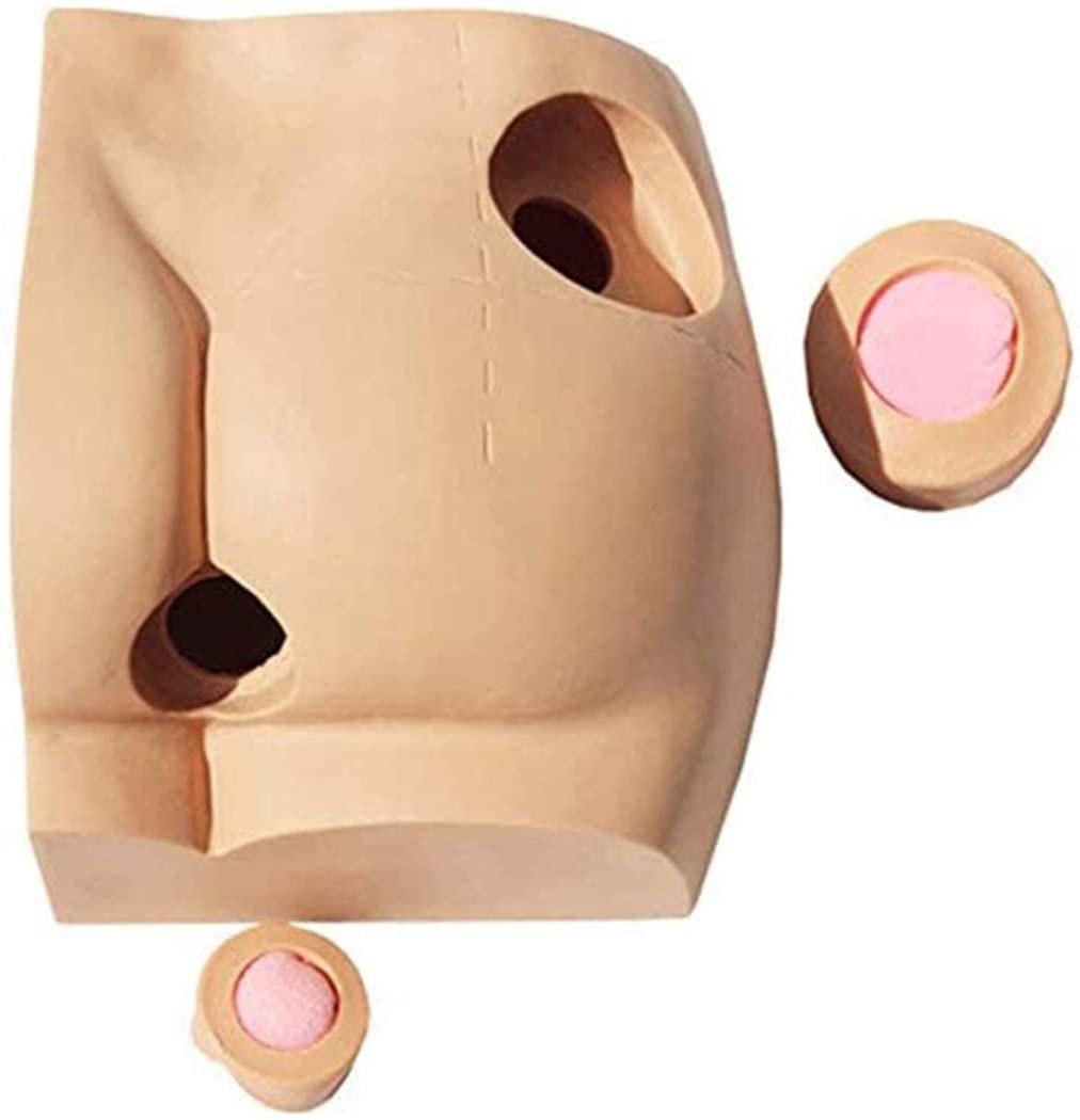 Skeleton Model Injection Training Pad,Hip Injection Training Simulator Buttock Intramuscular Anatomical Study Model, for Nurse Medical Students