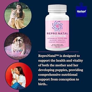 Canine-Prenatal-Multi-Vitamin-Capsules-60-Day-Supply-to-Aid-Full-Term-Pregnancies-and-Promote-Optimal-Health-for-Expecting-Dogs-ReproNatal-Dog-Supplement - Cucciolini Doodles   Canine-Prenatal-Multi-Vitamin-Capsules-60-Day-Supply-to-Aid-Full-Term-Pregnancies-and-Promote-Optimal-Health-for-Expecting-Dogs-ReproNatal-Dog-Supplement