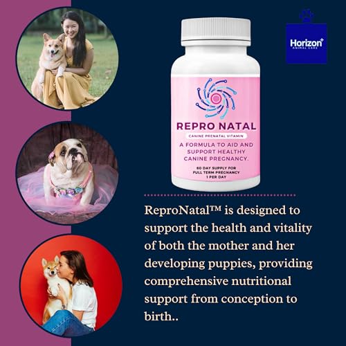 Canine-Prenatal-Multi-Vitamin-Capsules-60-Day-Supply-to-Aid-Full-Term-Pregnancies-and-Promote-Optimal-Health-for-Expecting-Dogs-ReproNatal-Dog-Supplement - Cucciolini Doodles   Canine-Prenatal-Multi-Vitamin-Capsules-60-Day-Supply-to-Aid-Full-Term-Pregnancies-and-Promote-Optimal-Health-for-Expecting-Dogs-ReproNatal-Dog-Supplement