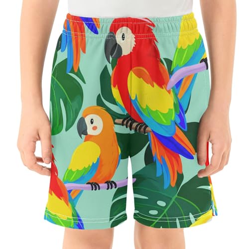 J JOYSAY Macaw Monstera Branch Aqua Boys Athletic Shorts Kids Youth Casual Shotrs with Pockets Elastic Waistband2