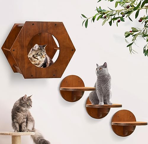 Kattentrap, 3-delige set, kattenklimwand met 2 klimniveaus en gebogen platforms, wandgemonteerde houten kattenwandmeubelset voor klimmen, spelen, slapen