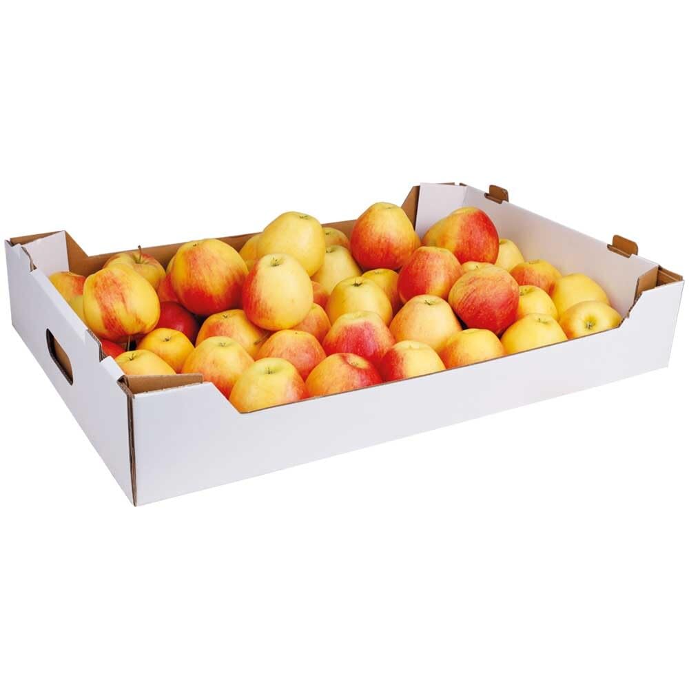 10x Flachsteige, Steckteige, kaschierte Wellpappe, Weiß, 7 kg, 56,2x38,8x10 cm