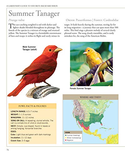 Garden Secrets for Attracting Birds, Second Edition: A Bird-by-Bird Guide to Favored Plants (Creative Homeowner) Turn Your Yard into a Pollinator Paradise for Hummingbirds, Sparrows, Finches, and More - Image 5