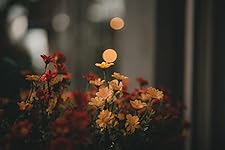 Review Image by tab tab