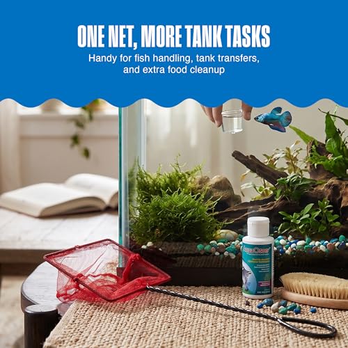 Image of Penn-Plax Infra-Red Quick-Net Aquarium Fish Net - 6 x 5 in Fine Mesh, 10 in Vinyl-Covered Braided Handle - Small Aquarium Cleaning Tool for Gentle Fish Handling - Freshwater & Saltwater Tanks - Red