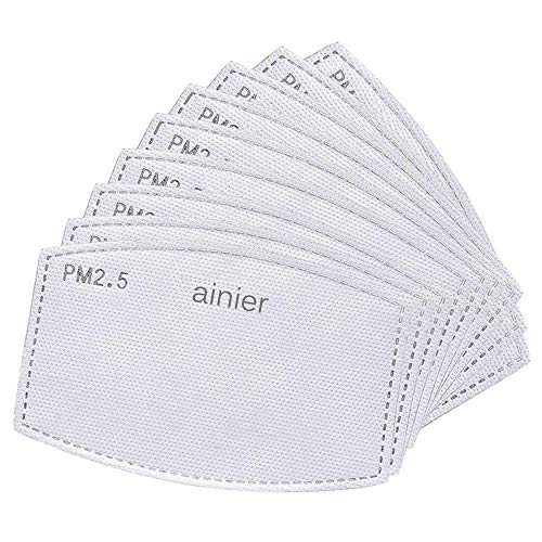PM 2.5 Activated Carbon Filter Insert, Replaceable Anti Haze Filter Paper (10 Pack)