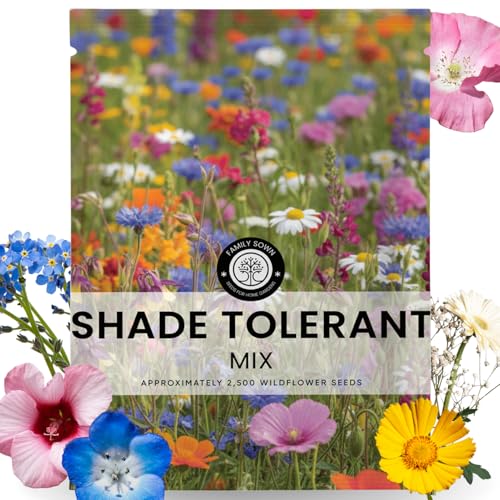 Shade Tolerant Mix – 2,500 Wildflower Seeds for Pollinator Gardens – 2026 Season – 5-Gram Pouch