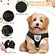 Welpen/Katzen Geschirr und Leine Sets Ausbruchsicher Weich Mesh Verstellbare Westen Geschirre Hunde Katzen Haustier Atmungsaktiv Mesh Gurt für Outdoor Training Gehen, XS (Schwarz)