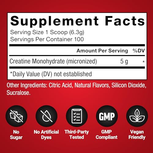 Image of Force Factor Creatine Monohydrate Powder, 5g Micronized Dose to Support Muscle Growth, Strength, Recovery, Cognitive Health & Working Memory, Raspberry Lemonade, 100 Servings