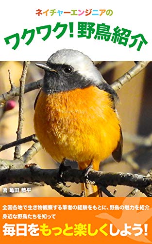ウグイスとメジロの違いと見分け方 間違われがちな春の鳥たち ネイチャーエンジニア いきものブログ