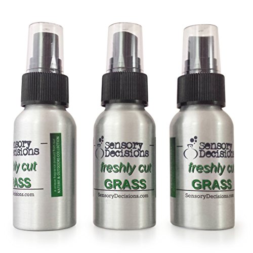 Fresh Cut Grass Spray  Spray ambientador concentrado recién cortar hierba  hierba aroma, Por decisiones sensorial, metal, Plateado, 3 bottles