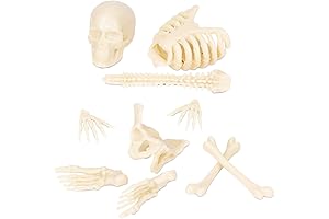 Accoutrements Itty Bitty Bones Glow in the Dark