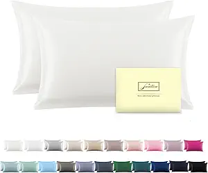 Silk Pillow Cases 2 Pack Soft Breathable and Sliky Standard Size Pillow Cases Set of 2,Natural Mulberry Satin Silk Pillowcase with Hidden Zipper for Hair and Skin (Ivory,20"X 26",2pcs)