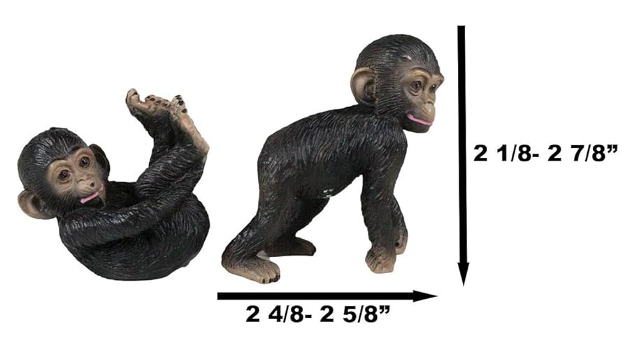 猿さん専用品 猿さん専用品 Amazon.co.jp: Great Eastern Entertainment