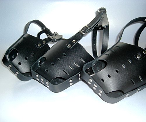 Museruola in pelle resistente per Bull Terrier e