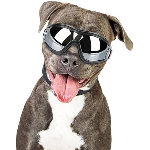 Vivi Bear Haustier-Gläser Hundebrille Wasserdicht Winddicht Sonnensicher Staubdichte UV-Schutzbrille Modischer Augenschutz Cover