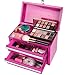 The Original Pink Box 11-Inch 2-Drawer Portable Micro Toolbox, Pink
