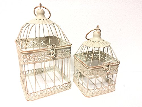 Moritz Cage décorative, cage à oiseaux, cage à plantes, photophore, blanc vieilli, petit, style shabby antique