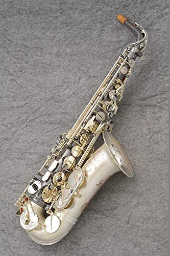 Amazon | Cannonball キャノンボール アルトサクソフォン BIG BELL